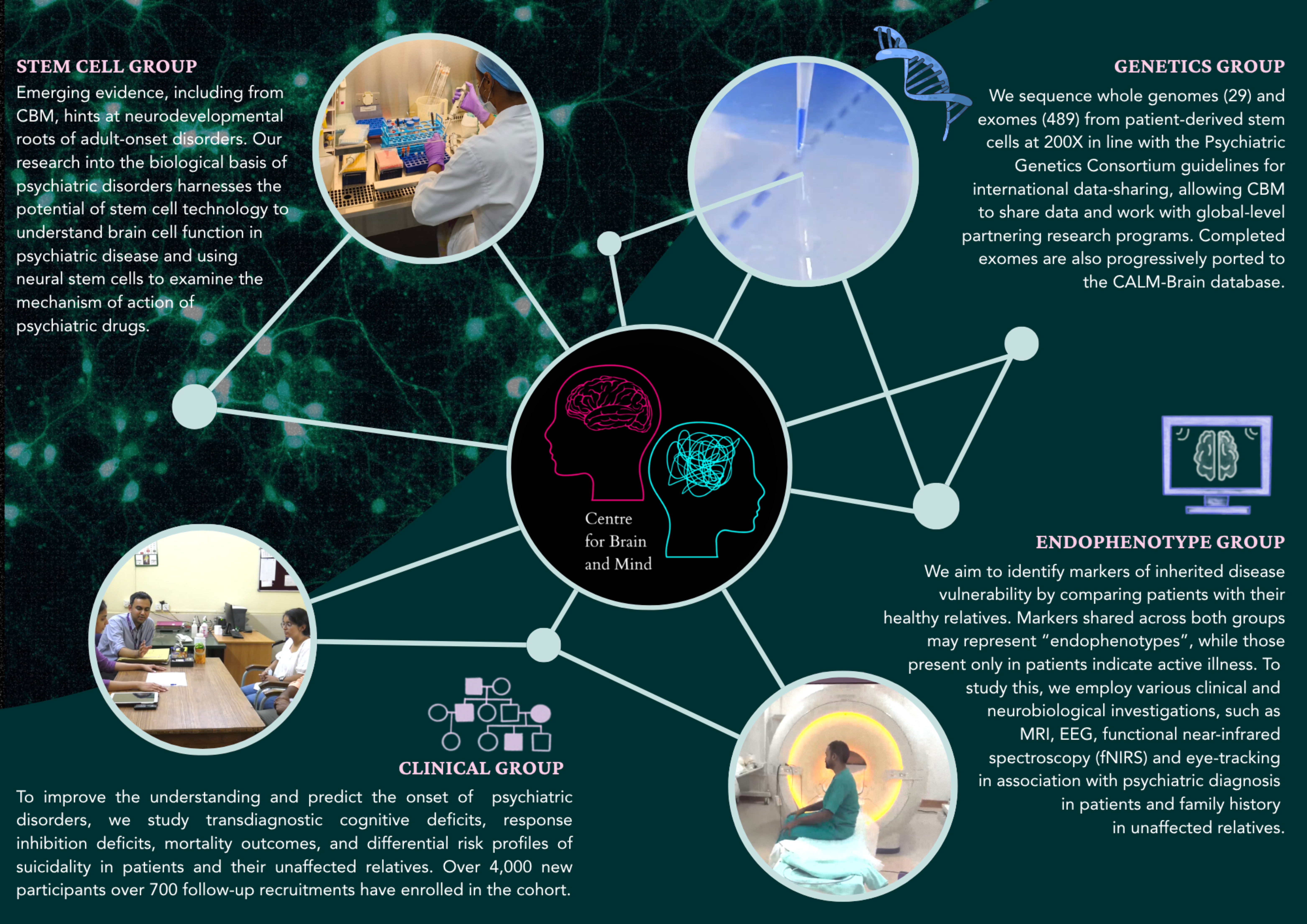 Web_Research theme